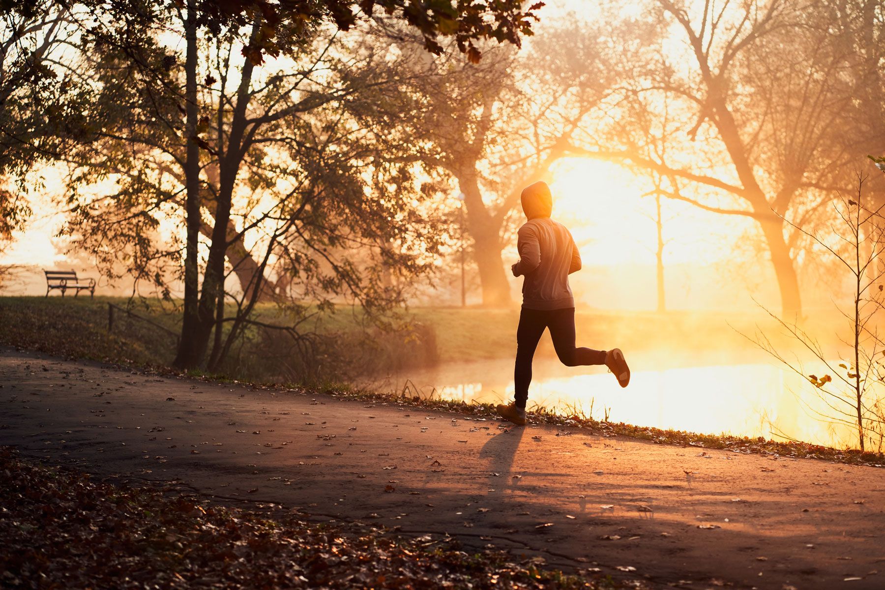 Header_Zwick_e2c9f9b782.jpg